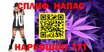 бошки Тара