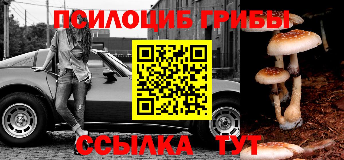 Псилоцибиновые грибы GOLDEN TEACHER  купить   Тосно  Вход с VPN 
