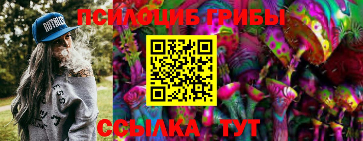 Псилоцибиновые грибы Psilocybine cubensis Тосно